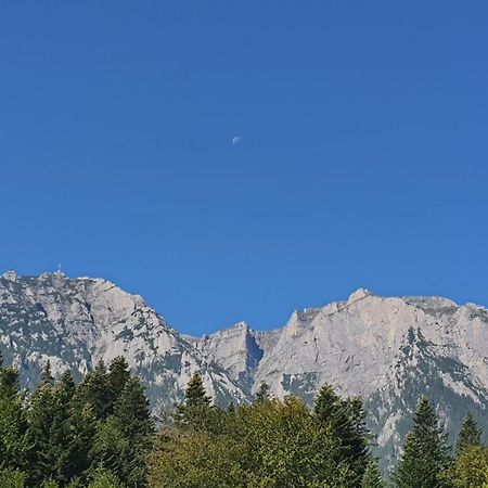 Pensiunea Luna Buşteni Екстериор снимка